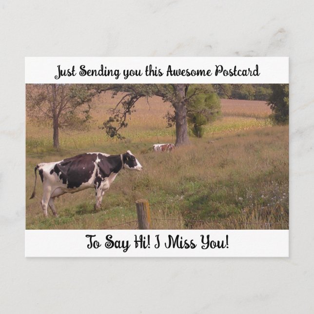 Postal Vaca en un Campo "Te extraño" diciendo hola (Anverso)