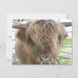 Postal Vaca Highland