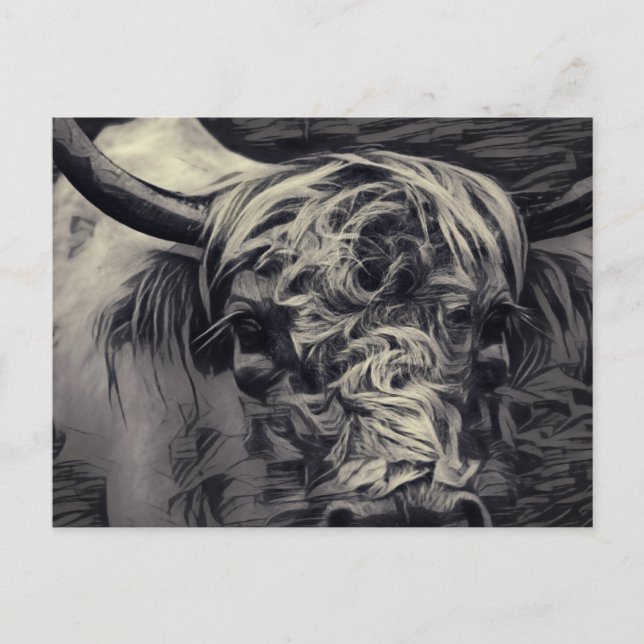 Postal Vaca Highland (Anverso)