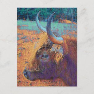 Postal Vaca Highland de perfil