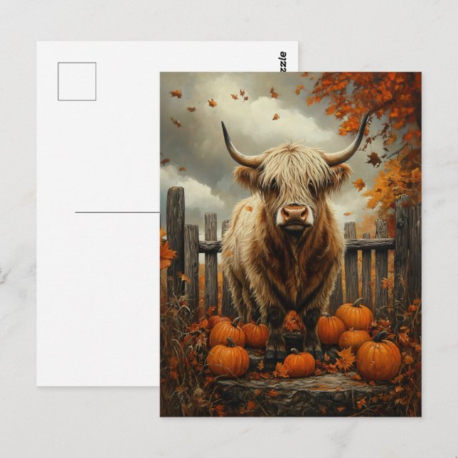 Postal Vaca Highland en parche de calabaza (Anverso / Reverso)
