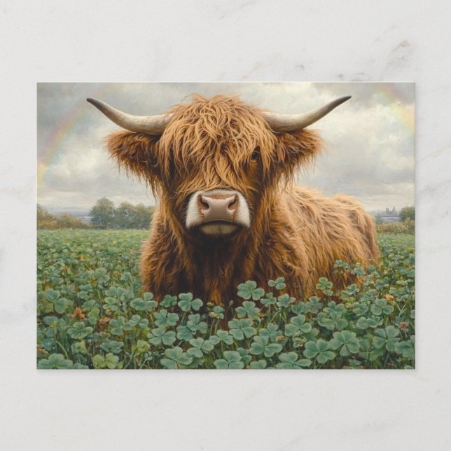 Postal Vaca Highland en un campo de atracción (Anverso)