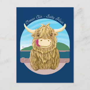 Postal Vaca Highland Escocesa Con Pelo Salado Del Océano