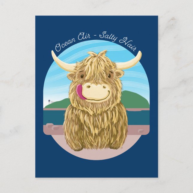 Postal Vaca Highland Escocesa Con Pelo Salado Del Océano (Anverso)
