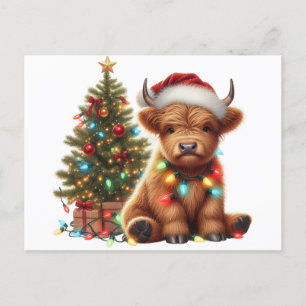 Postal Vaca Highland navidades