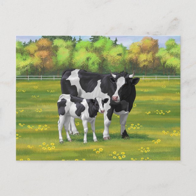 Postal Vaca Holstein y ternera en salsa de verano (Anverso)
