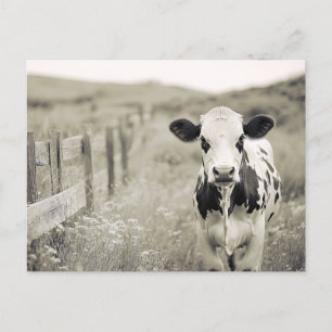 Postal Vaca lechera de estilo vintage en un campo