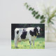 Postal Vaca lechera de Wisconsin (Anverso de pie)