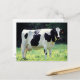 Postal Vaca lechera de Wisconsin (Anverso/Reverso In Situ)