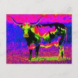 Postal Vaca Psicodélica de Texas Longhorn