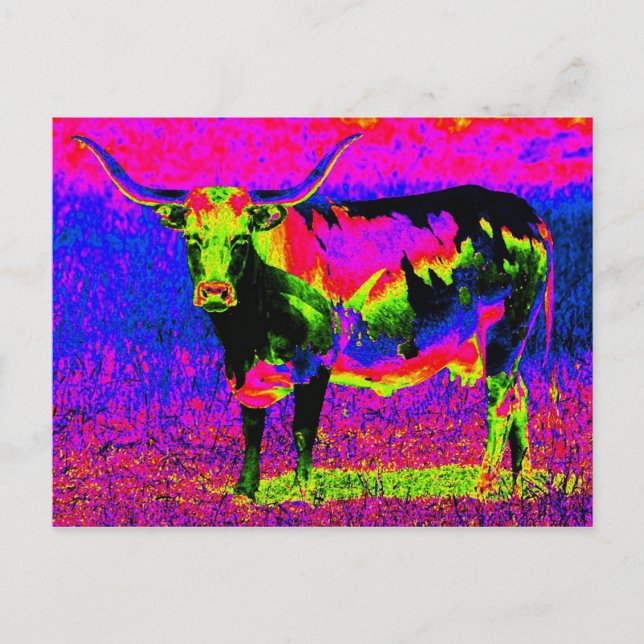 Postal Vaca Psicodélica de Texas Longhorn (Anverso)