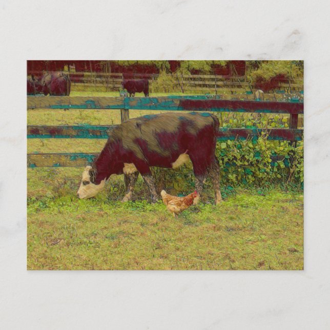 Postal Vaca y pollo de amigos de Barnyard (Anverso)
