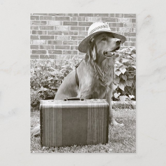 Postal Vacaciones (Anverso)