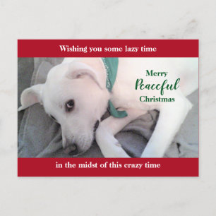 Postal Vacaciones de lindos Navidades rojos perezosos de 