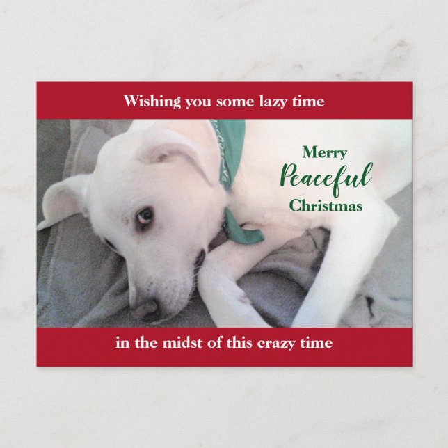 Postal Vacaciones de lindos Navidades rojos perezosos de  (Anverso)