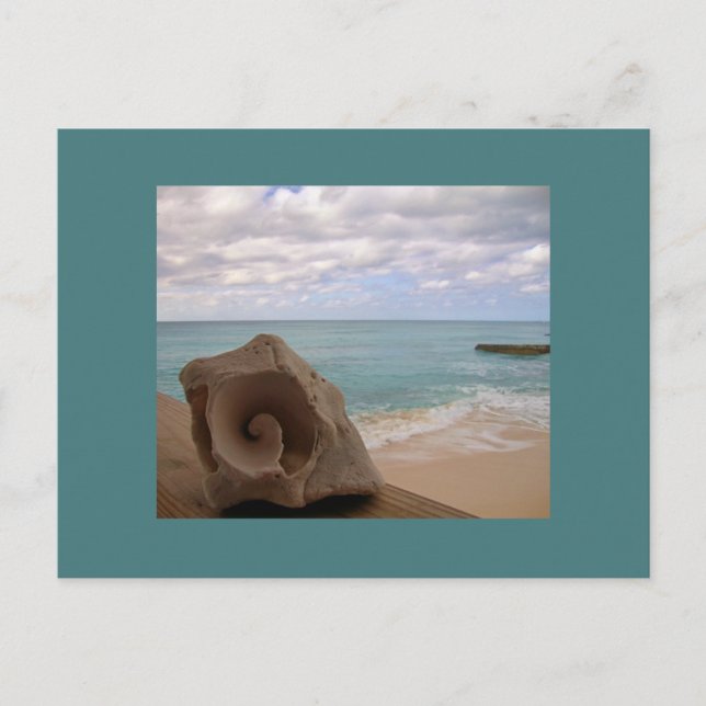 Postal Vacaciones en la playa de las conchas marinas (Anverso)