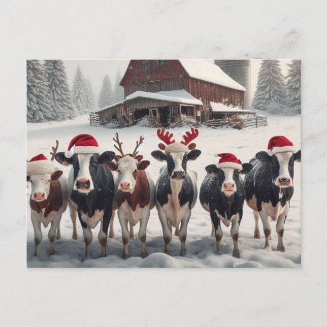 Postal Vacas divertidas Navidades (Anverso)