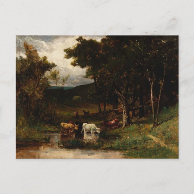 Postal Vacas En Corriente Cerca De Árboles - Edward Banis (Anverso)