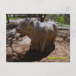 Postal Vacas en el Arboreto