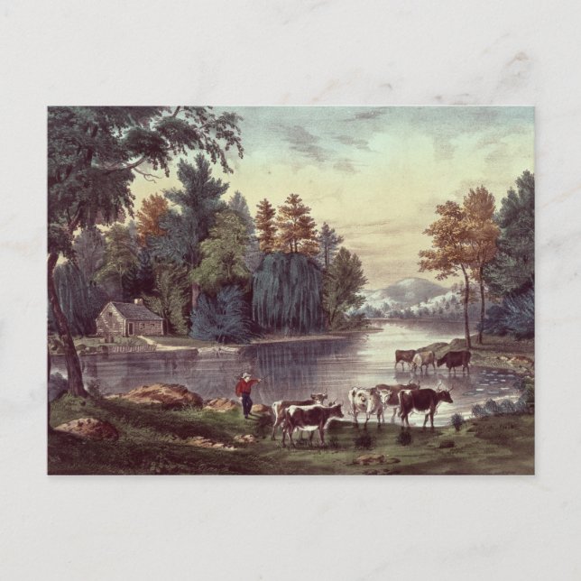 Postal Vacas en la orilla de un lago (Anverso)