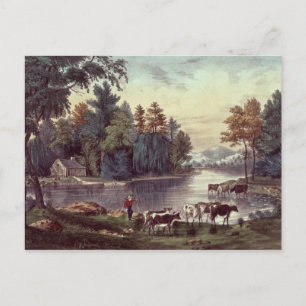 Postal Vacas en la orilla de un lago