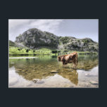 Postal Vacas en los lagos de Covadonga, Asturias<br><div class="desc">Los lagos de Covadonga (el. 1134 m.) son de dos lagos glaciales situados en la región de Asturias, España. Estos lagos, a menudo llamados también Lagos de Enol o simplemente Los Lagos, son el Lago Enol y el Lago Ercina, ubicados en la cordillera de los Picos de Europa y son...</div>