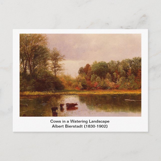 Postal Vacas en un paisaje acuático por Albert B. (Anverso)