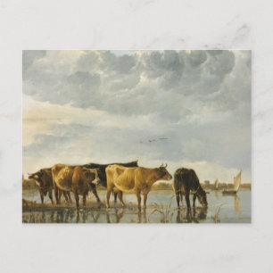 Postal Vacas en un río Aelbert Cuyp