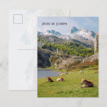 Vacas junto a los Lagos de Covadonga, Asturias via