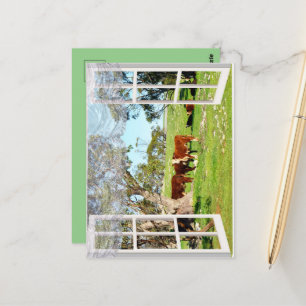 Postal Vacas Marrones En Mi Ventana,