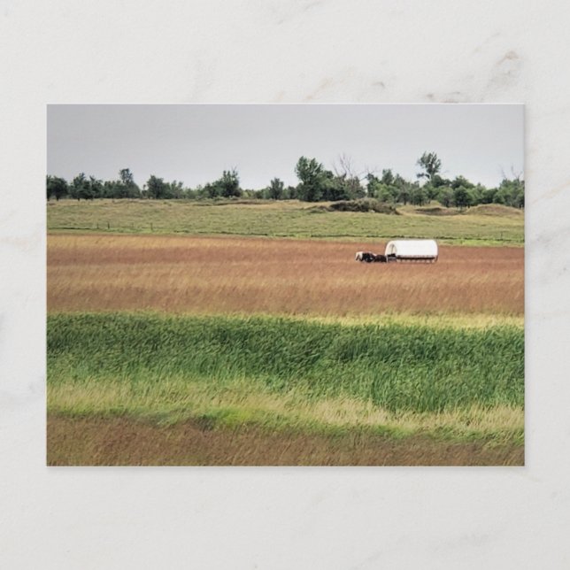 Postal Vagón cubierto en Laura Ingalls Wilder Homestead (Anverso)