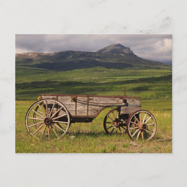 Postal Vagón Histórico En Una Pastura (Anverso)