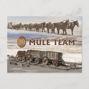 Postal Vagones del equipo de 20 mulas, Death Valley, Cali
