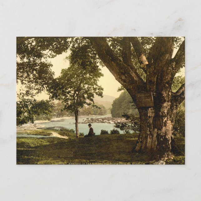 Postal Vale de Aguacate, condado de Wicklow (Anverso)