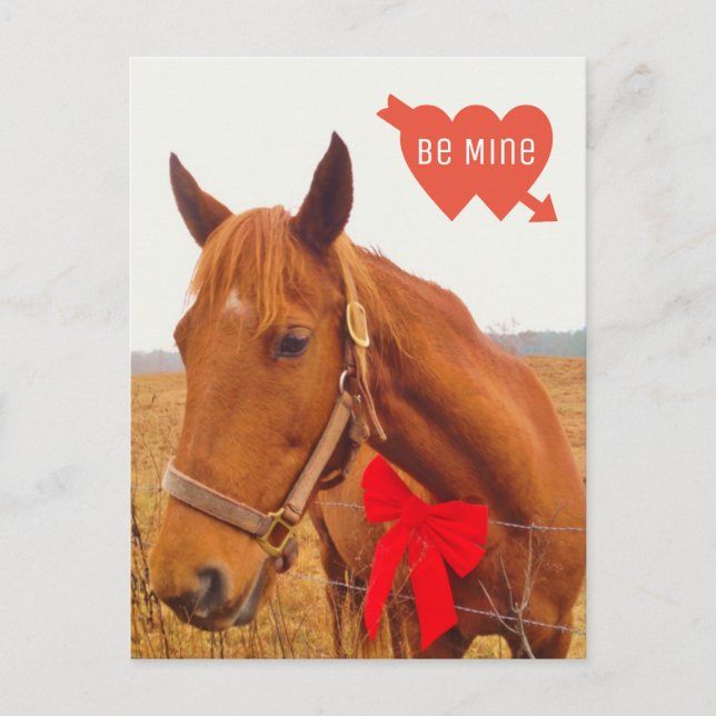 Postal Valentín de caballo personalizado con reverencia (Anverso)