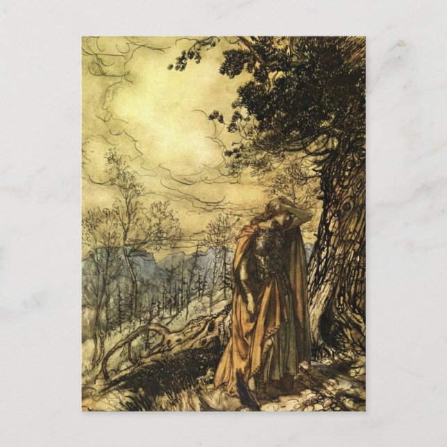 Postal Valkyrie de Rackham (Anverso)