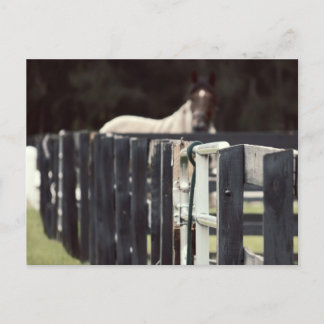 Postal valla de granja con caballo detrás de sepia
