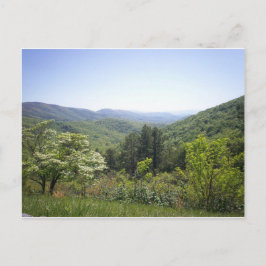 Postal Valle 1