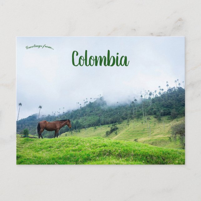 Postal Valle de Cocora en Colombia (Anverso)