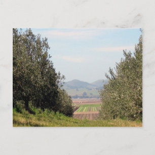 Postal Valle de desatención de San Juan
