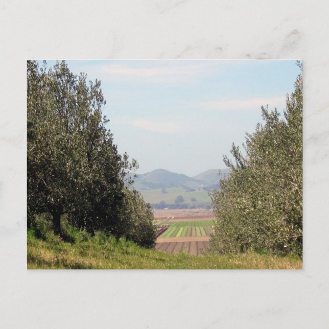 Postal Valle de desatención de San Juan (Anverso)