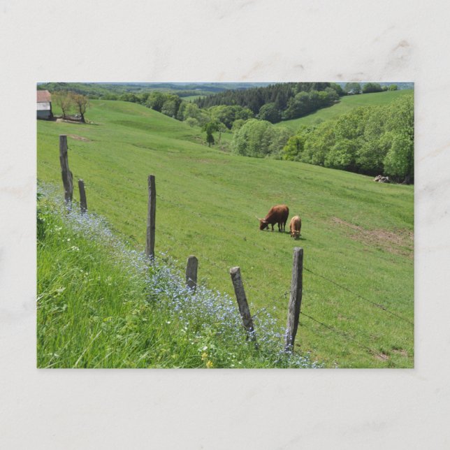 Postal Valle de madera, Auvernia (Anverso)
