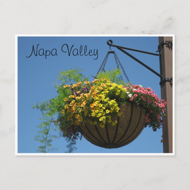 Postal Valle de Napa, Ca. (Anverso)
