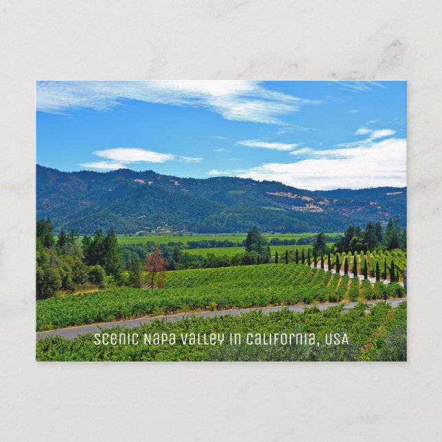 Postal Valle de Napa en California (Anverso)