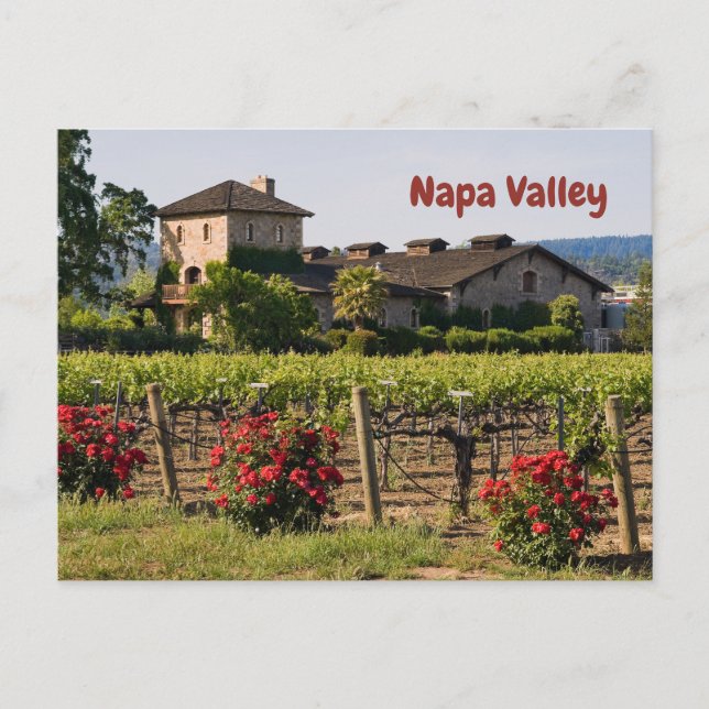 Postal Valle de Napa, viña de California en verano (Anverso)
