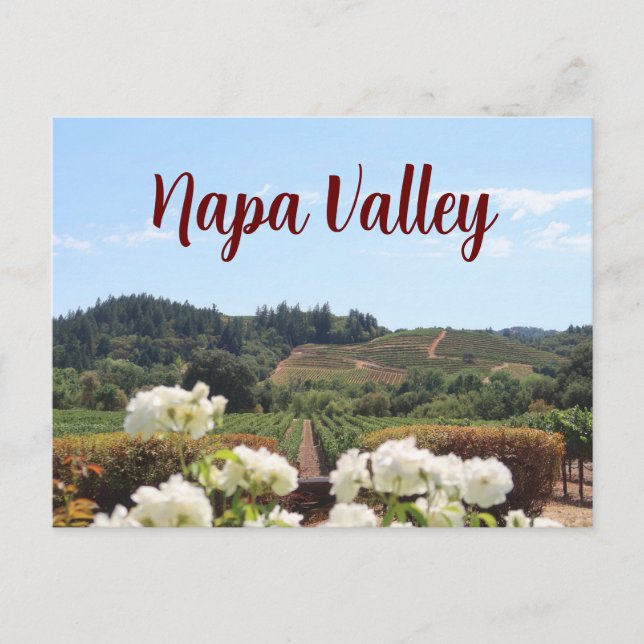 Postal Valle de Napa, viñedos y flores de California (Anverso)