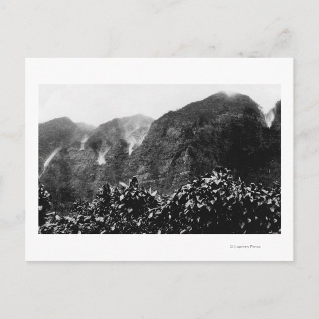 Postal Valle de Nuuanu, Hawaii - Vista del revés hacia el (Anverso)