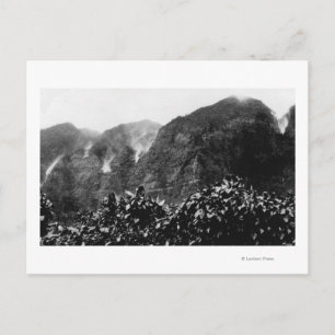 Postal Valle de Nuuanu, Hawaii - Vista del revés hacia el