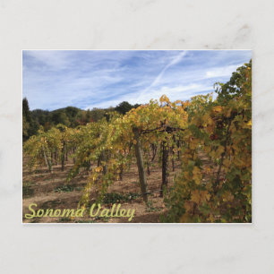 Postal Valle de Sonoma