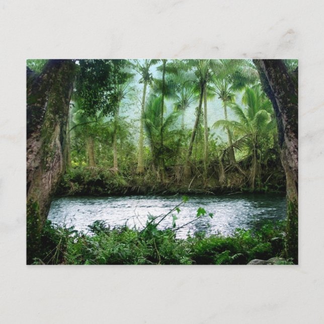 Postal Valle de Waipio (Anverso)